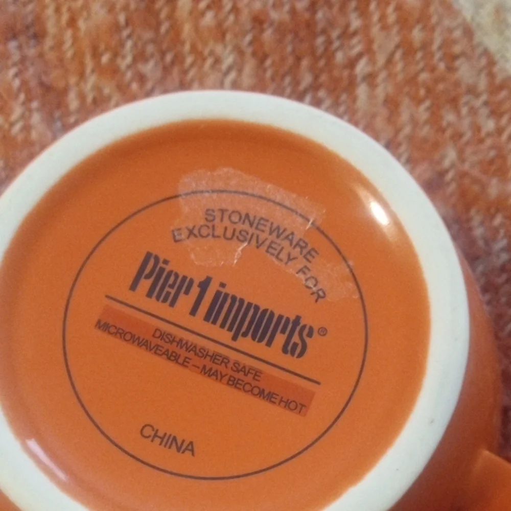 Pier 1 Imports Orange Stoneware Tea Cup